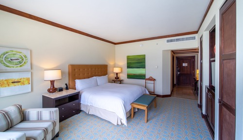 Habitación Premium, 1 cama de matrimonio grande, Acceso al salón del club (Top Floor)