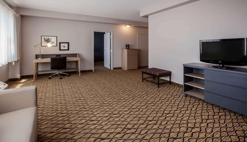 Suite Deluxe, 1 cama de matrimonio grande, no fumadores