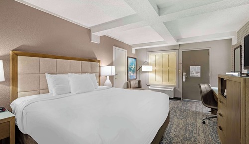 Habitación estándar, 1 cama de matrimonio grande, no fumadores