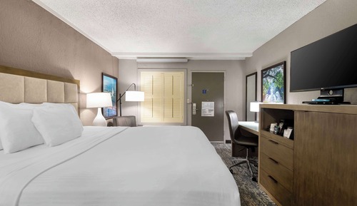 Habitación estándar, 1 cama de matrimonio grande, accesible para personas con discapacidad