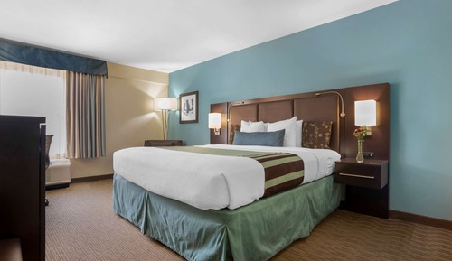 Habitación estándar, 1 cama de matrimonio grande, no fumadores, frigorífico y microondas