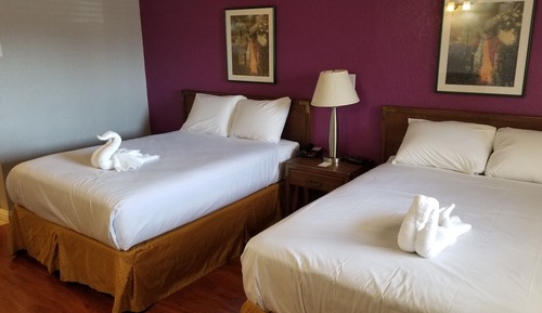 Habitación básica doble de uso individual, 2 camas dobles, fumadores