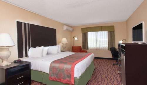 Suite estudio Deluxe