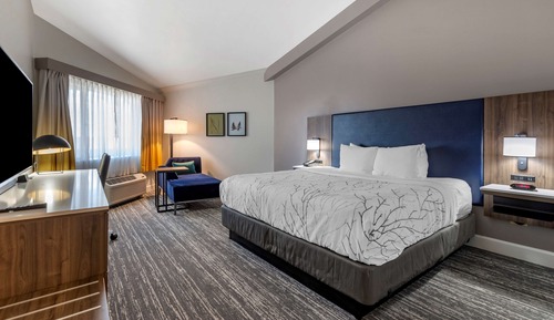 Habitación estándar, 1 cama de matrimonio grande, frigorífico y microondas, vistas a la piscina