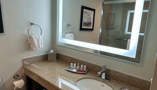 Habitación estándar, 1 cama de matrimonio grande, balcón, vistas a la piscina (Shower Only)