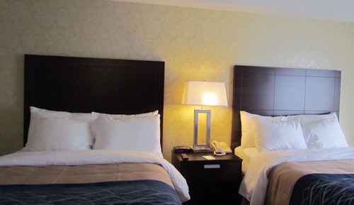 Comfort Care, Habitación doble, 2 camas dobles, no fumadores