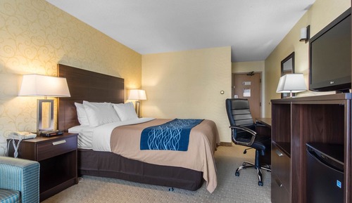 Habitación estándar, no fumadores, planta baja (with 2 person sofabed)