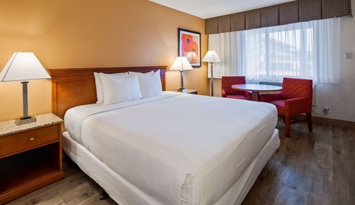 Habitación estándar, 1 cama de matrimonio grande, no fumadores (Pet Friendly)