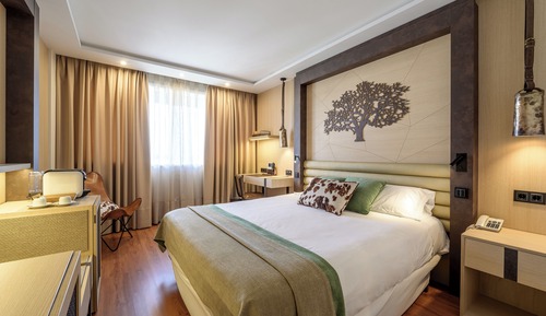 Habitación Deluxe Doble uso Individual