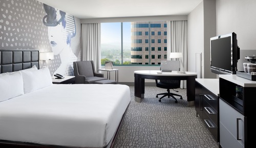 Habitación Deluxe, 1 cama de matrimonio grande, accesible para personas con discapacidad (Bathtub)