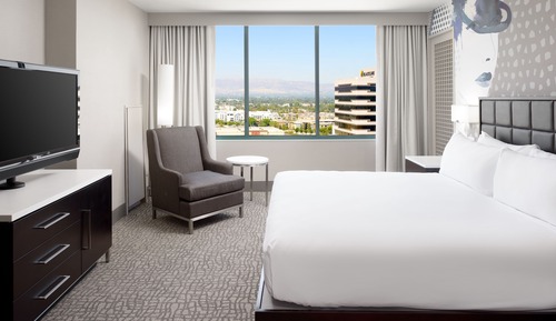 Habitación Deluxe, 1 cama de matrimonio grande, vistas a la ciudad (Roll-in Shower)