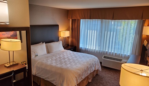 Habitación básica, 1 cama de matrimonio grande