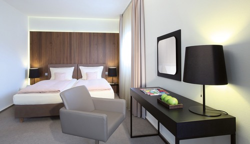 Suite junior, 1 cama de matrimonio con sofá cama