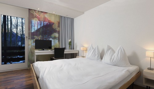 Habitación estándar con 2 camas individuales (Waldhaus)