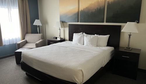 Habitación, 1 cama de matrimonio grande, no fumadores (Bathtub w/ Grab Bars)