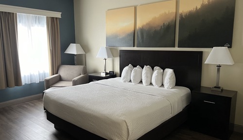 Habitación, 1 cama de matrimonio grande, accesible para personas con discapacidad (Roll-In Shower)