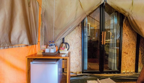 Exotic Top View Twin