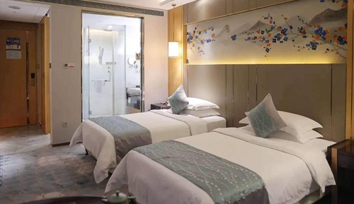 Habitación Deluxe, 2 camas individuales