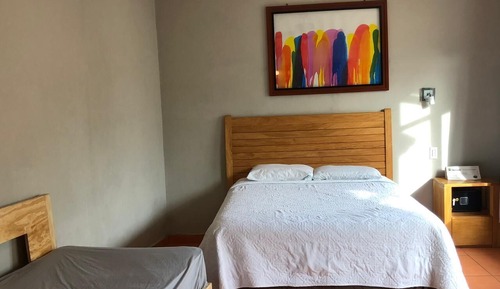 Habitación estándar (Suite with Garden View)