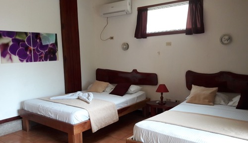 Habitación estándar doble, 2 camas dobles