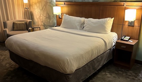 Habitación, 1 cama de matrimonio grande con sofá cama (Mobility/Hearing Access, Roll-In Shwr)