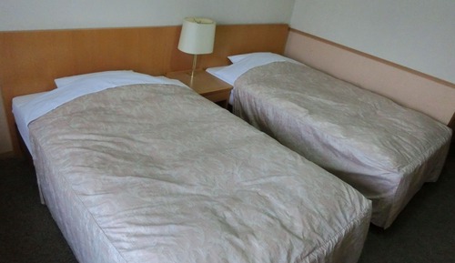 Habitación con 2 camas individuales, no fumadores (Mt. Fuji View)