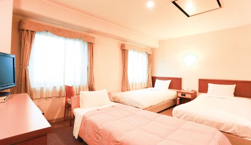 Triple Room, Non Smoking (Twin Room And Extra Bed)