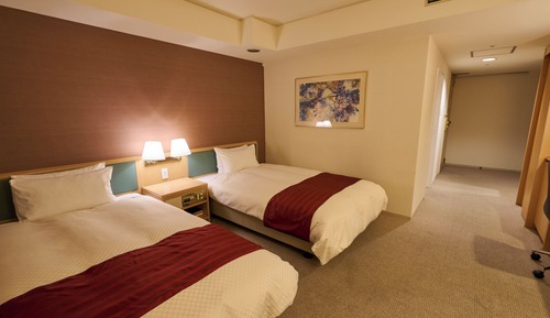 Habitación individual, no fumadores (Deluxe Twin Room, Non Smoking)