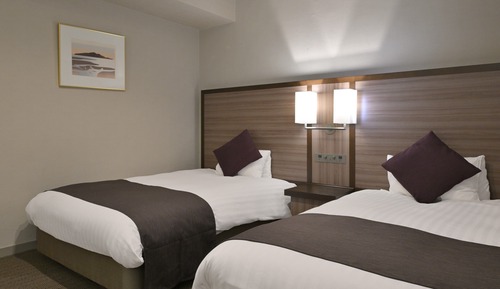 Habitación Deluxe con 2 camas individuales