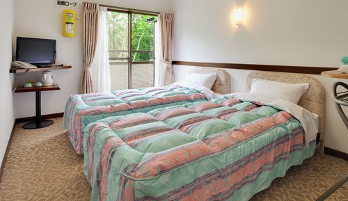 Habitación estándar con 2 camas individuales