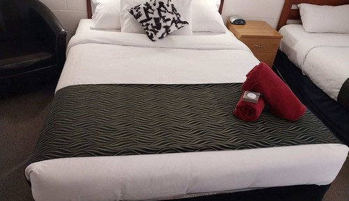 Habitación estándar (Twin)