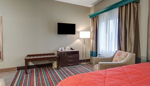 Suite, 1 cama de matrimonio grande, accesible para personas con discapacidad (Efficiency)