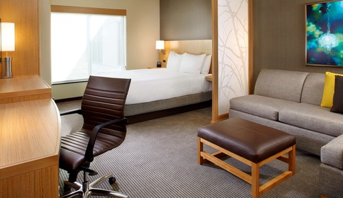 Habitación Grand, 1 cama de matrimonio grande con sofá cama (Roll-In Shower)