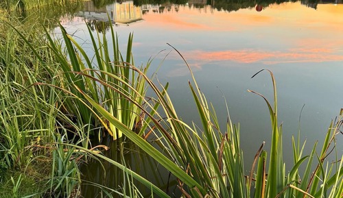 Apartamento Deluxe, baño privado, vistas al lago (2 bed luxury)