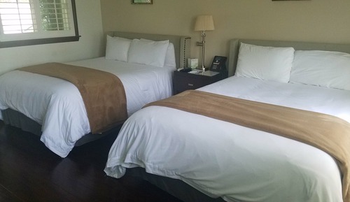 Habitación, vistas al jardín