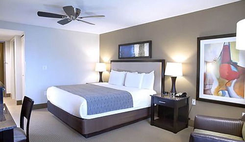 Habitación estándar, 1 cama de matrimonio grande
