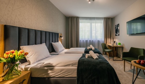 Habitación Premium con 2 camas individuales