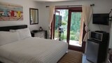 Junior Studio Suite
