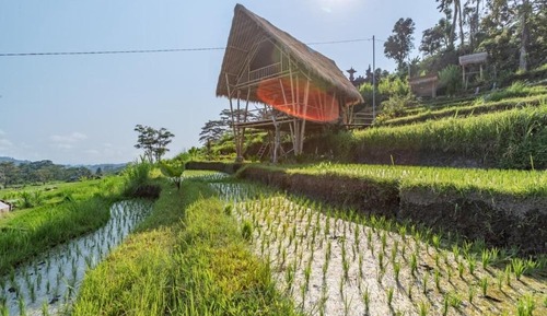 Bamboo Villa, 1 Bedroom