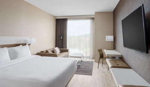 Habitación, 1 cama de matrimonio grande con sofá cama