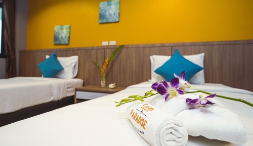 Habitación estándar con 2 camas individuales, sin ventanas (No Balcony)