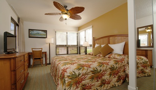 Suite estándar, 1 habitación, no fumadores, cocina