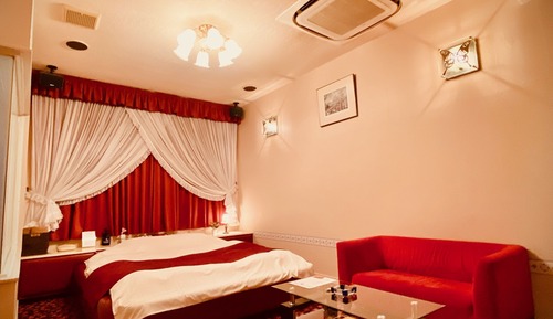 Habitación estándar doble (B, includes air purifier)