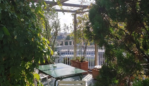 Habitación Confort con 1 cama doble o 2 individuales, 1 habitación, terraza, planta ejecutiva