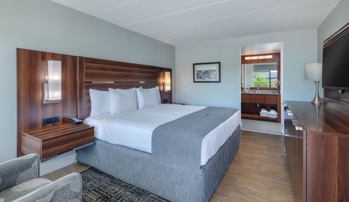 Habitación individual estándar, 1 cama de matrimonio grande