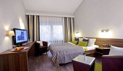 Habitación clásica doble de uso individual