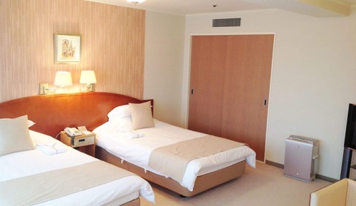 Habitación Deluxe con 2 camas individuales, 2 camas individuales, no fumadores