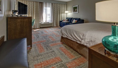 Habitación, 1 cama de matrimonio grande con sofá cama, no fumadores (Bathtub)