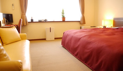 Habitación doble, 1 cama de matrimonio grande, no fumadores