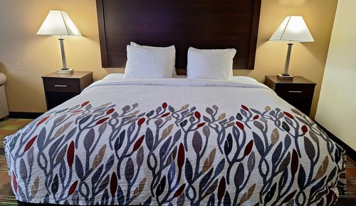 Habitación, 1 cama de matrimonio grande